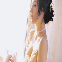 揭秘鉴黄师ABB安装色板的背后故事与应用